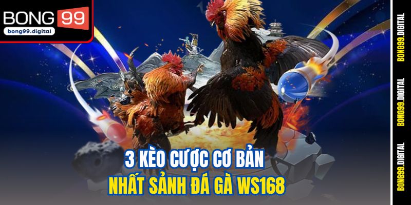 3 kèo cược cơ bản nhất sảnh đá gà WS168