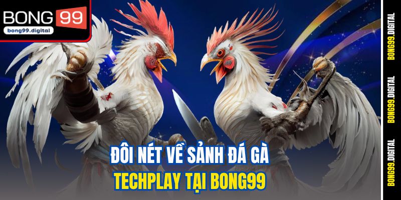 Đôi nét về sảnh đá gà Techplay tại BONG99