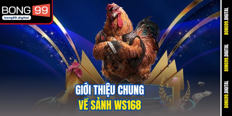 Giới thiệu chung về sảnh WS168
