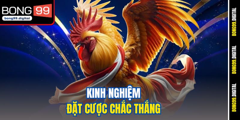 Kinh nghiệm đặt cược chắc thắng