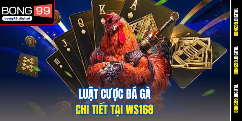 Luật cược đá gà chi tiết tại WS168