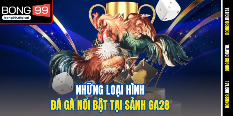 Những loại hình đá gà nổi bật tại sảnh GA28