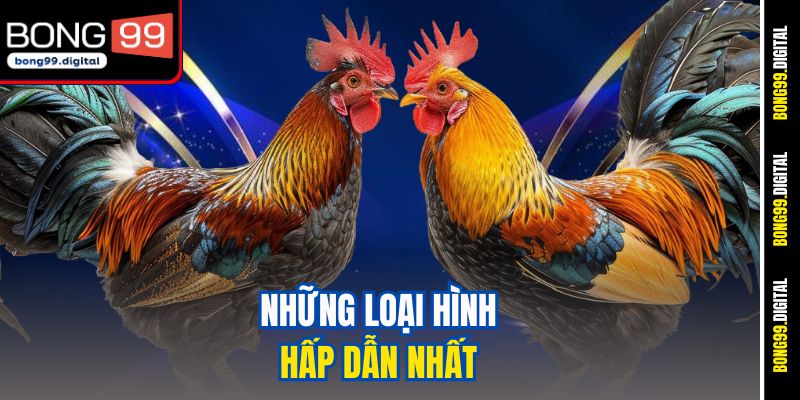 Những loại hình hấp dẫn nhất