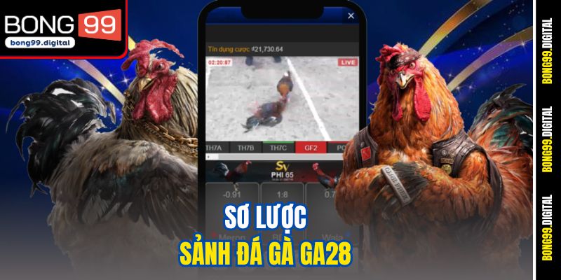 Sơ lược sảnh đá gà GA28