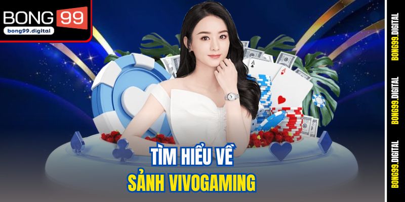 Tìm hiểu về sảnh Vivogaming