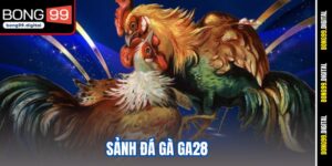 sảnh đá gà GA28