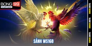 sảnh WS168